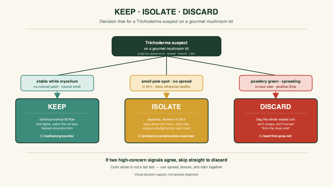 Decision tree for a green patch on a gourmet kit branching into keep, isolate, or discard