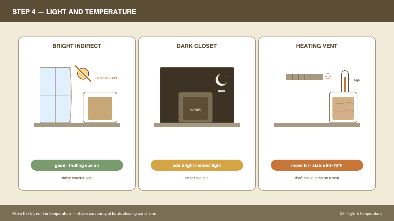 Light and temperature reference panel showing indirect daylight, room thermometer, and safe kit placement