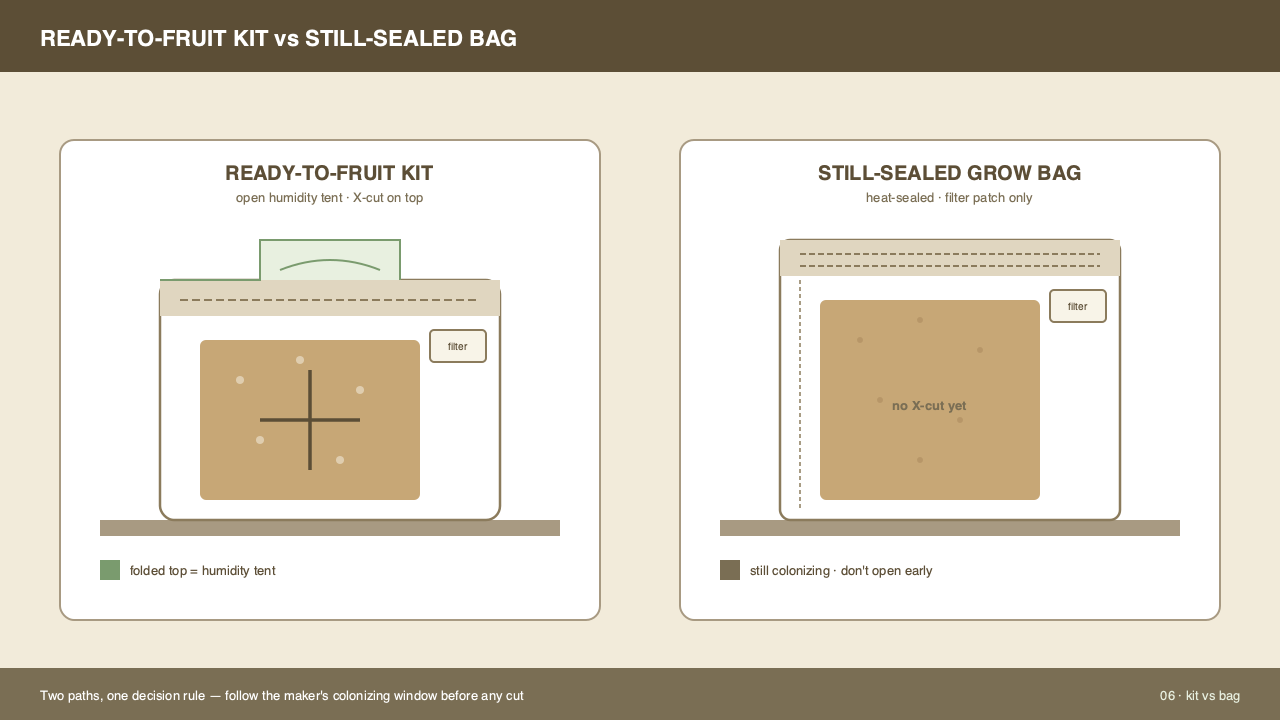Side-by-side comparison of a small grow kit and a larger grow bag, showing cut face and filter patch