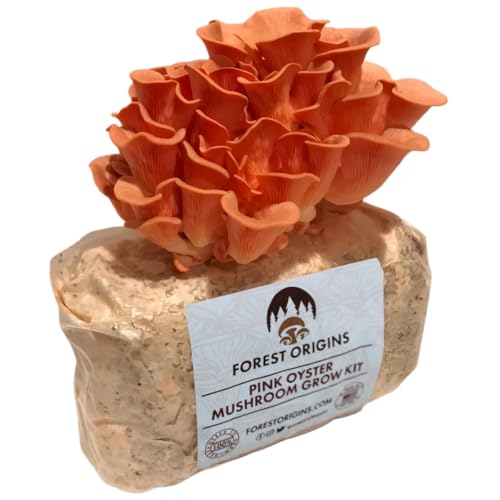 Forest Origins Pink Oyster Mushroom Grow Kit