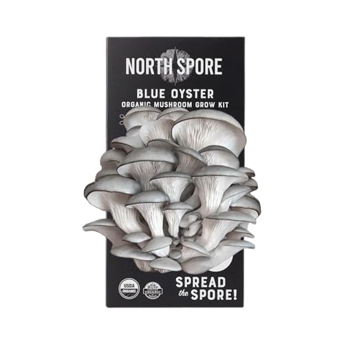 North Spore Organic Blue Oyster Mushroom Grow Kit, 4 lbs